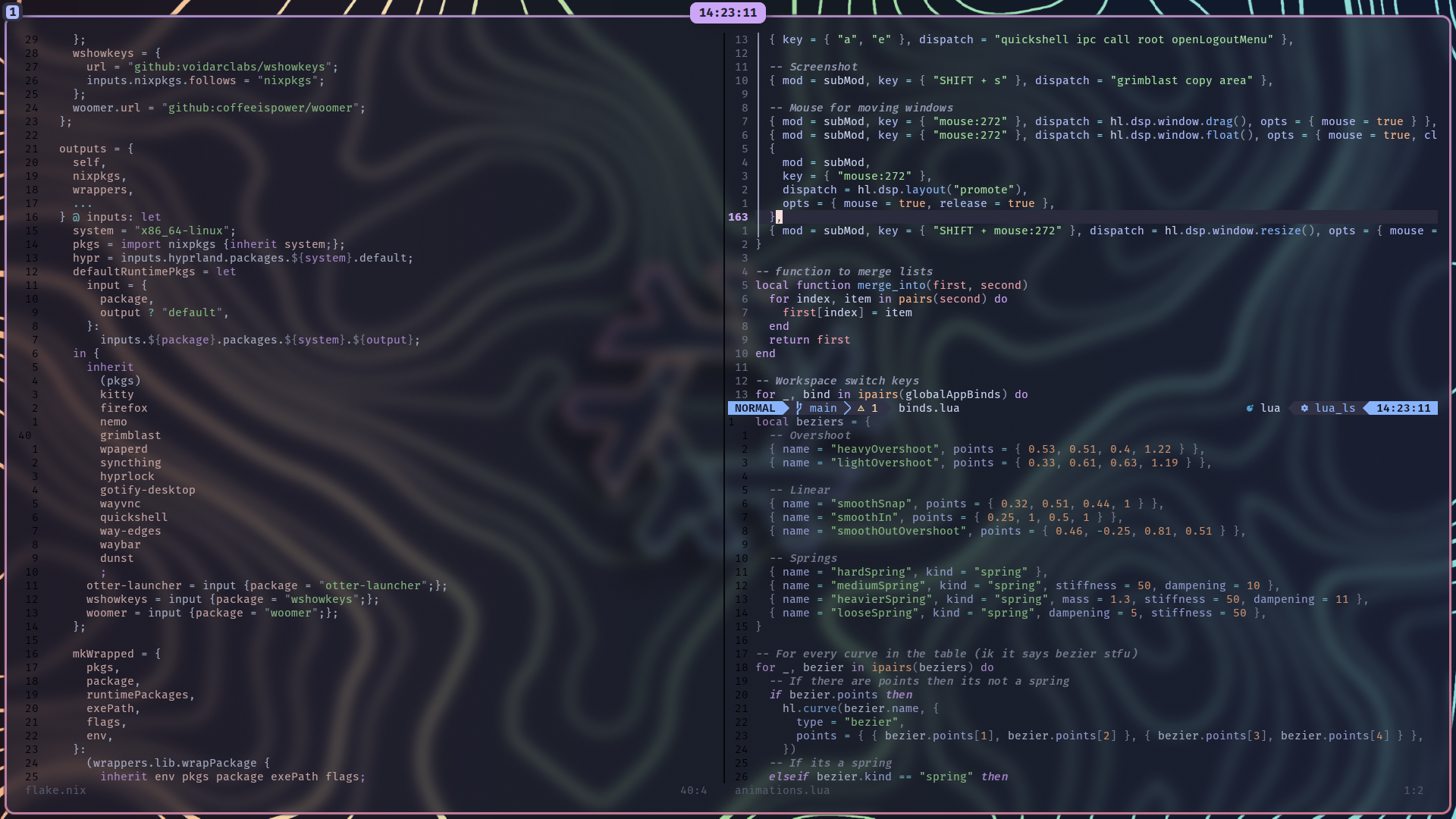 Picture of Neovim open, editing the hyprland repo